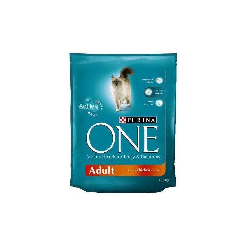 ĖDALAS KATĖMS „ONE ADULT“ 800 g