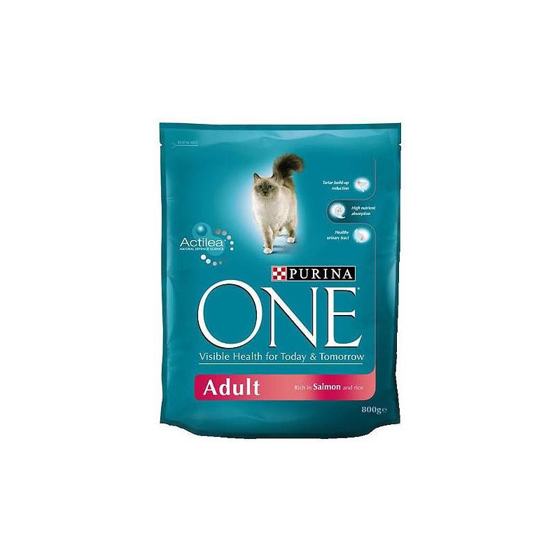 ĖDALAS KATĖMS „ONE ADULT“ 800 g