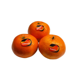Mandarinai CLEMENTINE EXTRA klasė, Ispanija, kg