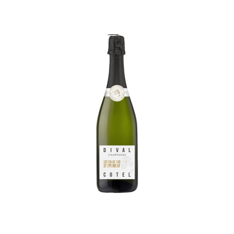 Šampanas DIVAL COTEL BRUT, 12%, 750 ml