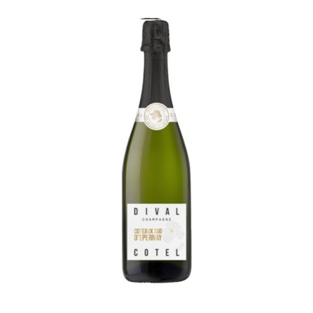Šampanas DIVAL COTEL BRUT, 12%, 750 ml