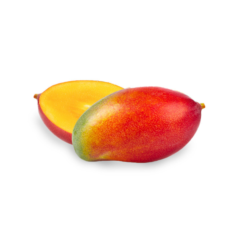 Mangas didelis, OSTEN,vnt