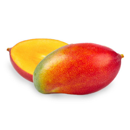 Mangas didelis, OSTEN,vnt