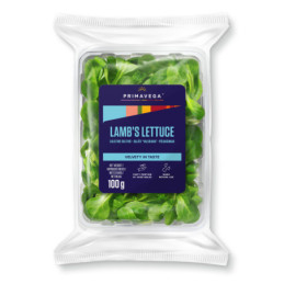 Salotinė sultenė PRIMAVEGA, 100 g, 2 klasė, 1 vnt