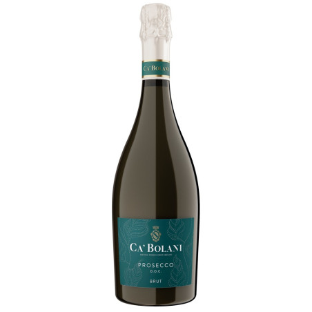 CA BOLANI Prosecco DOC putojantis vynas, 11%, 750 ml