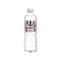 Gaz. stalo vanduo NEPTŪNAS,laimo ir aviečių skonio,PET,500ml