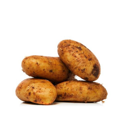 Bulvės šviežios SPUNTA 35+, 2 kl, kg