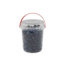 Šilauogės, 250 g, 1 vnt.