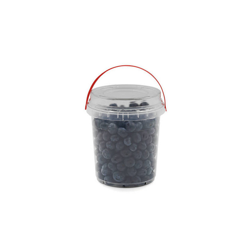 Šilauogės, 400 g, 1 vnt.