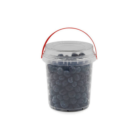 Šilauogės, 400 g, 1 vnt.