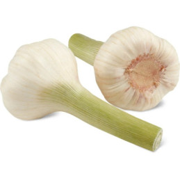 Česnakai švieži,  I kl., 1 kg