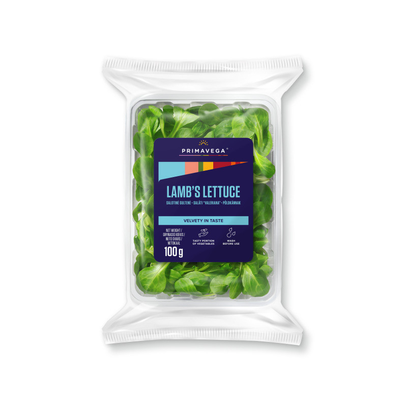 Salotinė sultenė PRIMAVEGA, 100 g, 2 klasė, 1 vnt