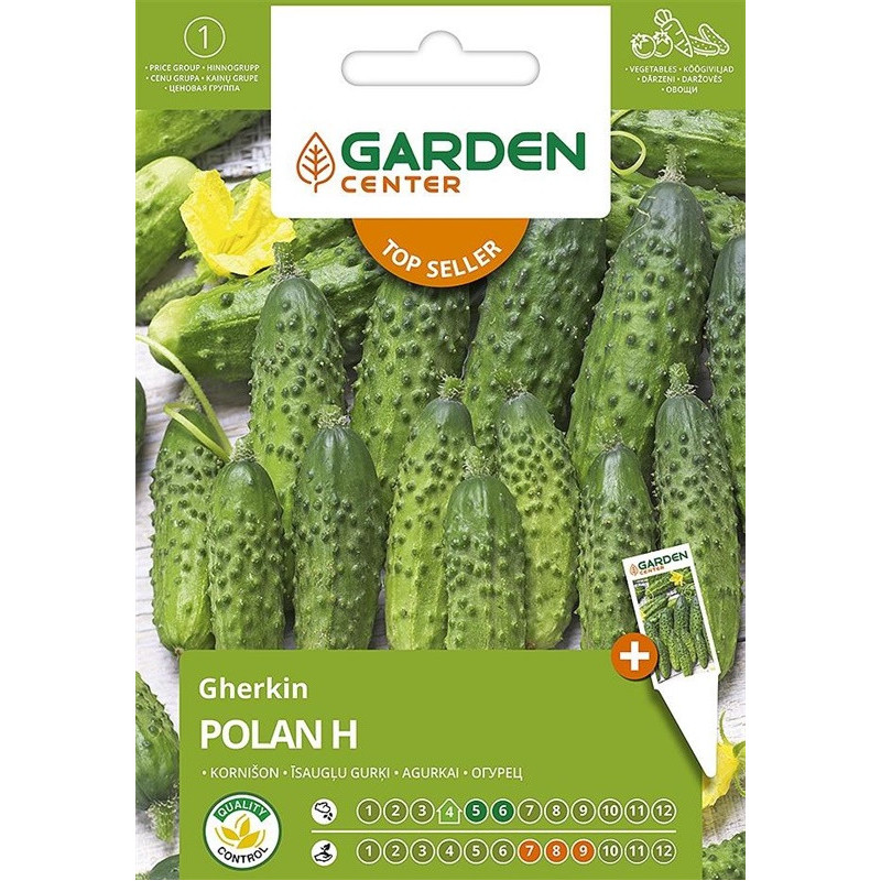 Sėklos Garden Center, agurkai Polan H