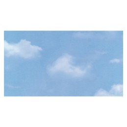 Lipnioji plėvelė 10275, 45 cm