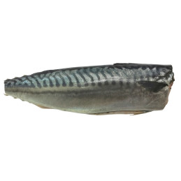 Mar. skumbrė be galvos, 1 kg