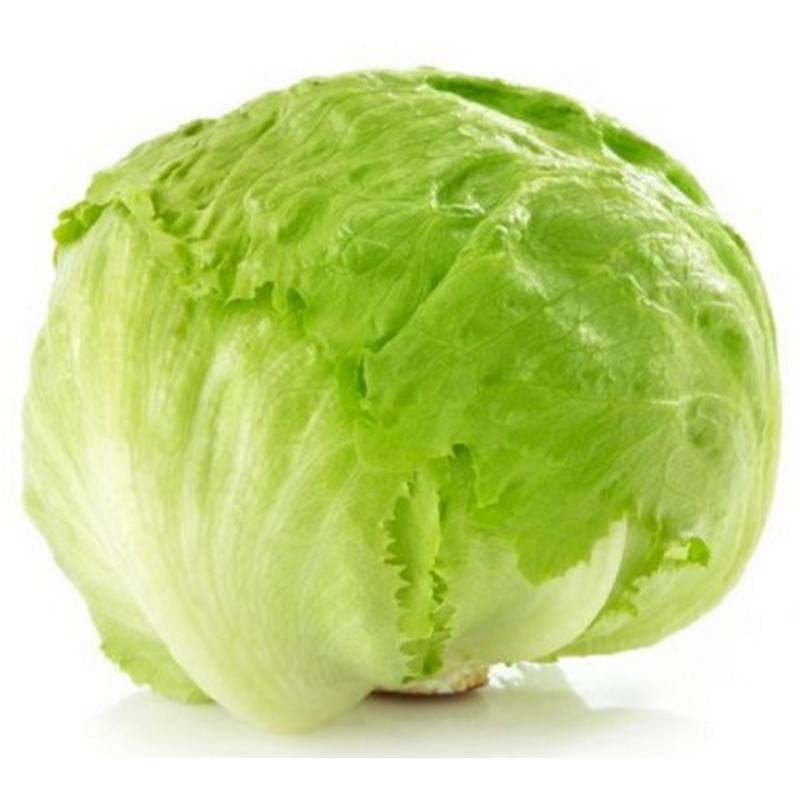 Salotos Iceberg, 2 klasė, 1 vnt. 450 g Salotos Iceberg, 2 klasė, 1 vnt. 450 g