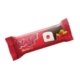 Gl.varškės sūrelis MAGIJA su rauger.uogų įd.,20,7% rieb.,40g