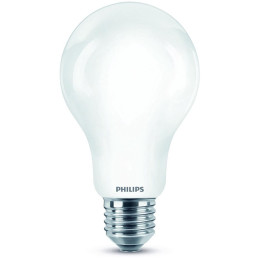 LED lemputė PHILIPS, A67, E27, 13 W, 2000 lm, 2700 K